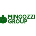 Mingozzi Group
